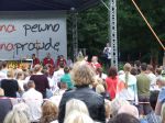 czuwanie_55_20140718_1910660231.jpg
