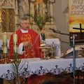 DSC 5241