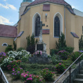 IMG-20260709-WA0006